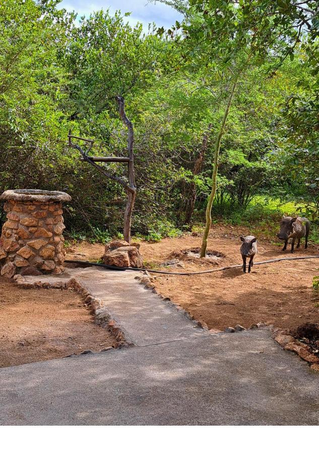 Lion King Villa Marloth Park Exterior photo