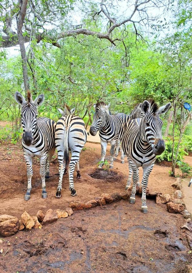 Lion King Villa Marloth Park Exterior photo