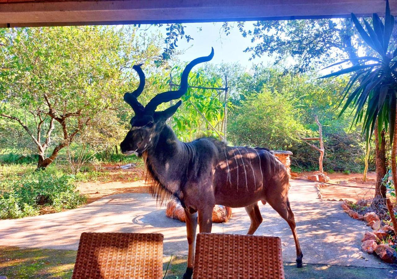 Lion King Villa Marloth Park Exterior photo